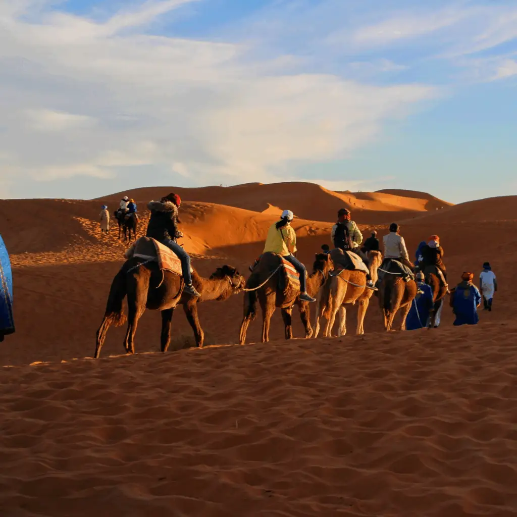Group of friends riding a camel in the desert.